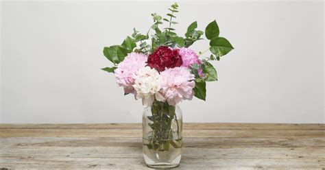 How Much Water Should I Put in a Vase for Flowers?